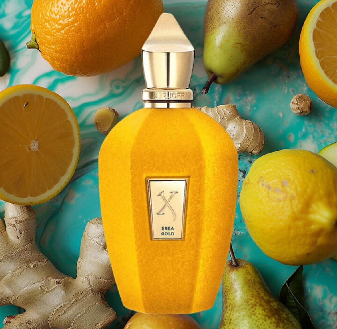 XERJOFF ERBA GOLD